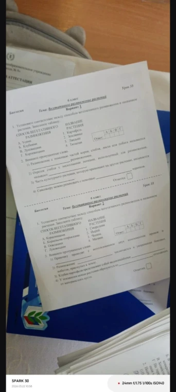 Установите соответствие между способом вегетативного размножения и названием растения. Заполните таблицу.