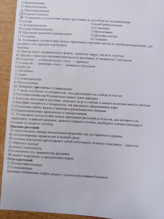 10. Установите соответствие между растением и способом его размножения.