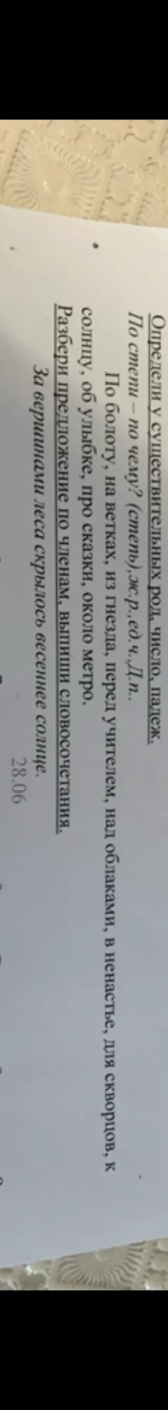 Определи у существительных род, число, падеж.
