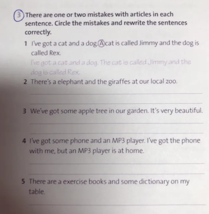 There are one or two mistakes with articles in each sentence. Circle the mistakes and rewrite the sentences correctly.