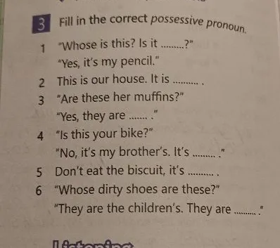 Fill in the correct possessive pronoun.
