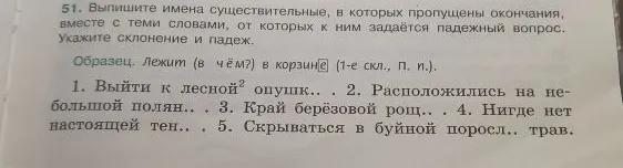 Выпишите имена существительные, в которых пропущены окончания, вместе с теми словами, от которых к ним задаётся падежный вопрос. Укажите склонение и падеж.