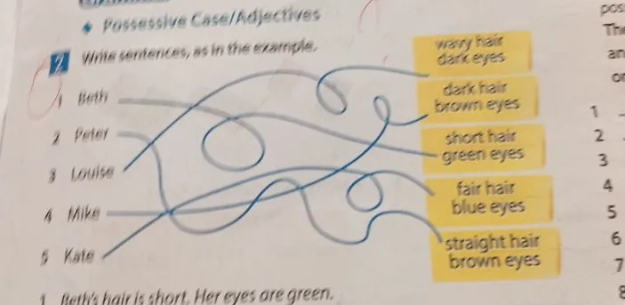 Write sentences, as in the example.