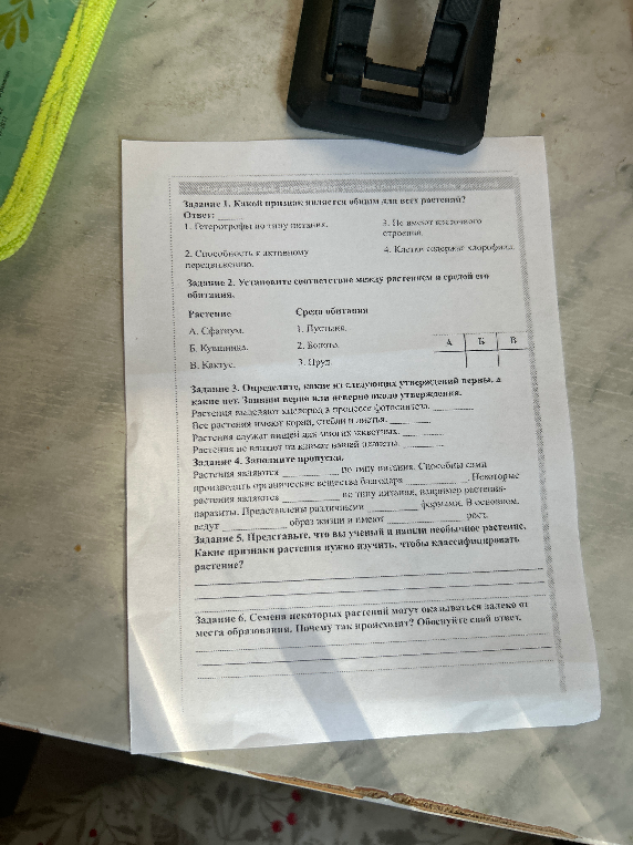 Задание 1. Какой признак является общим для всех растений?