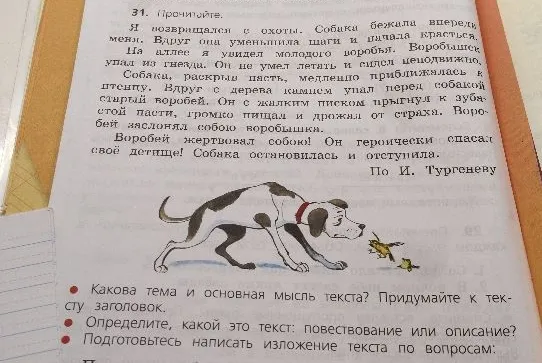Какова тема и основная мысль текста? Придумайте к тексту заголовок.