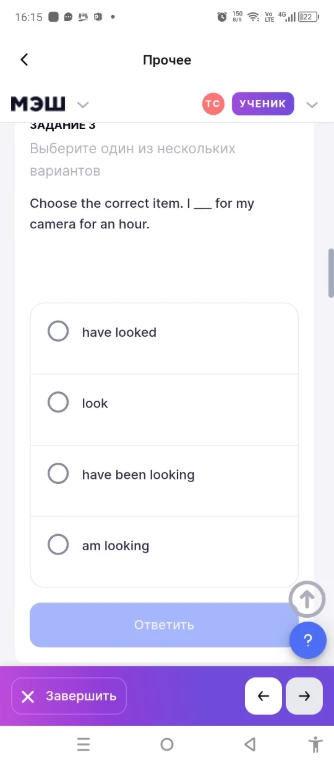 Choose the correct item. I ___ for my camera for an hour.