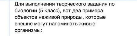 Для выполнения творческого задания по биологии (5 класс), вот два примера объектов неживой природы, которые внешне могут напоминать живые организмы: