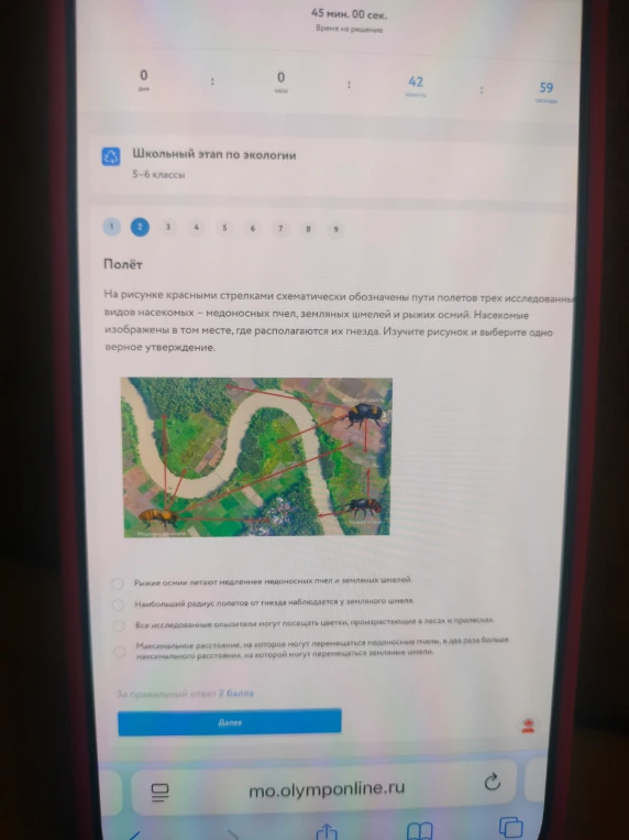 На рисунке красными стрелками схематически обозначены пути полетов трех исследованных видов насекомых — медоносных пчел, земляных шмелей и рыжих осмий. Изучите рисунок и выберите одно верное утверждение.
