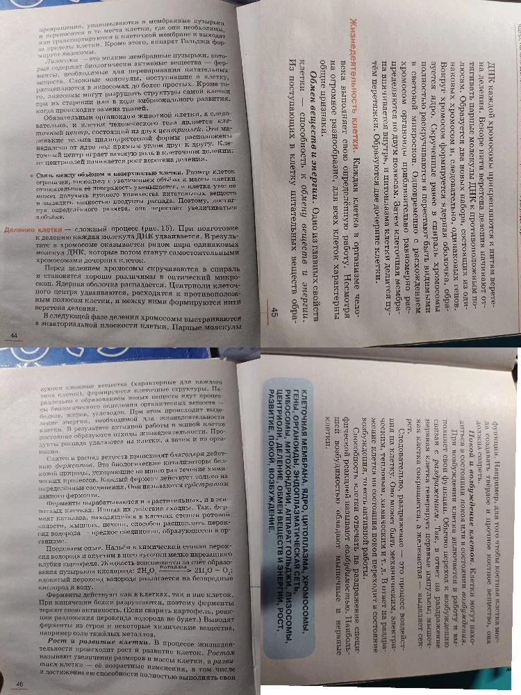 Напиши о органоидах из строениях и функциях.
