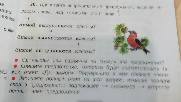 26. Прочитайте вопросительные предложения, выделяя голосом слова, над которыми стоит знак.