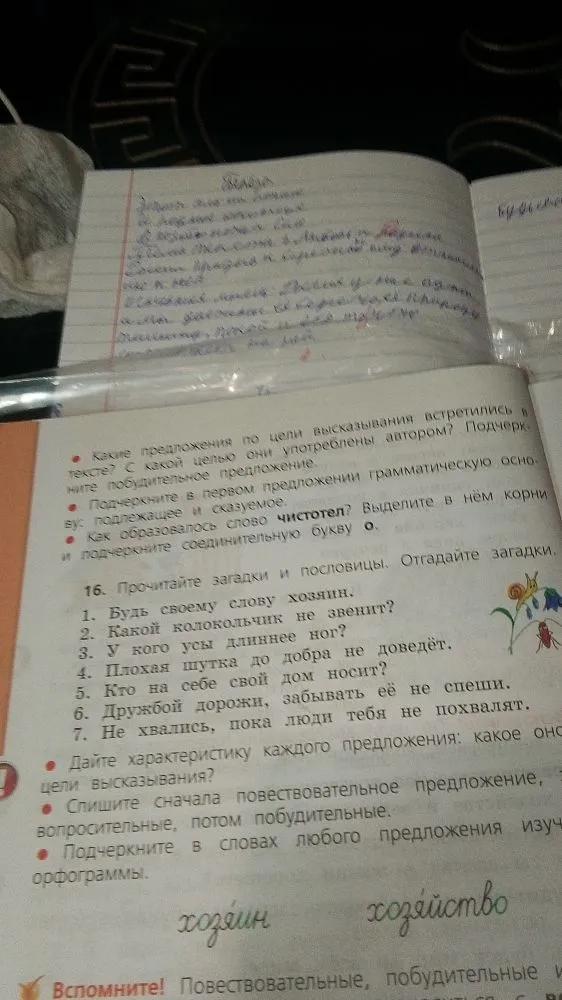 Прочитайте загадки и пословицы. Отгадайте загадки.