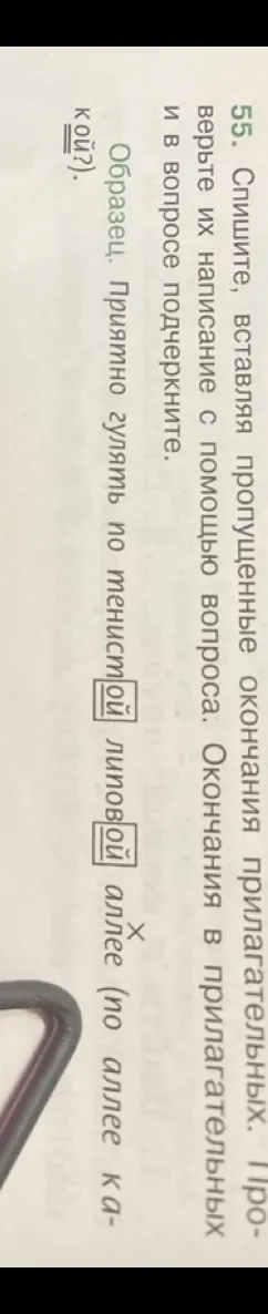 55. Спишите, вставляя пропущенные окончания прилагательных. Проверьте их написание с помощью вопроса. Окончания в прилагательных и в вопросе подчеркните.