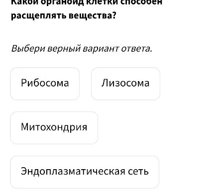 Какой органоид клетки способен расщеплять вещества?