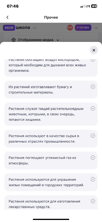 Растения обогащают воздух кислородом, который необходим для дыхания всех живых организмов.