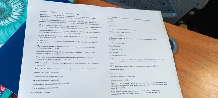 Вариант 1 Часть А (выберите один верный ответ) 1. Какой органоид растительной клетки содержит хлорофилл и обеспечивает фотосинтез?