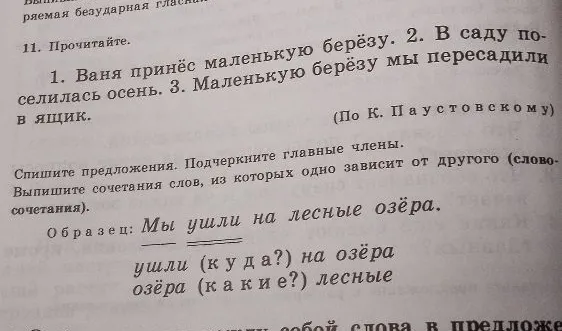 1. Ваня принёс маленькую берёзу. 2. В саду поселилась осень. 3. Маленькую берёзу мы пересадили в ящик.