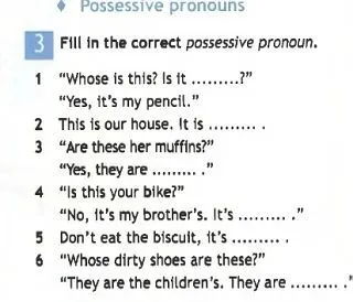 Fill in the correct possessive pronoun.