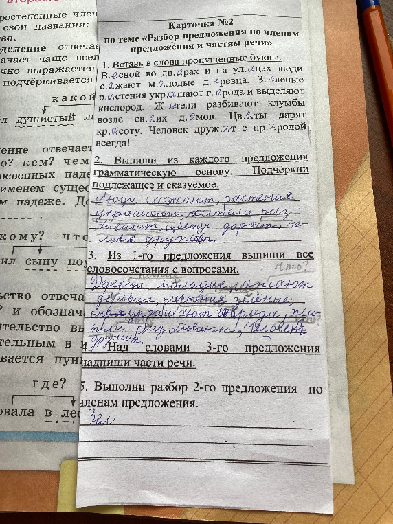 Над словами 3-го предложения надпиши части речи.