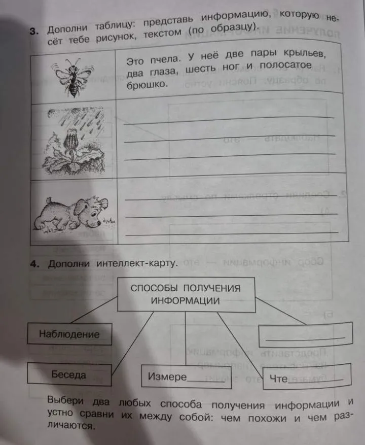 3. Дополни таблицу: представь информацию, которую несёт тебе рисунок, текстом (по образцу).