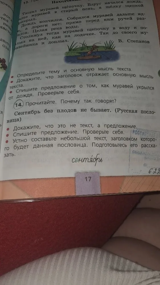 Определите тему и основную мысль текста.