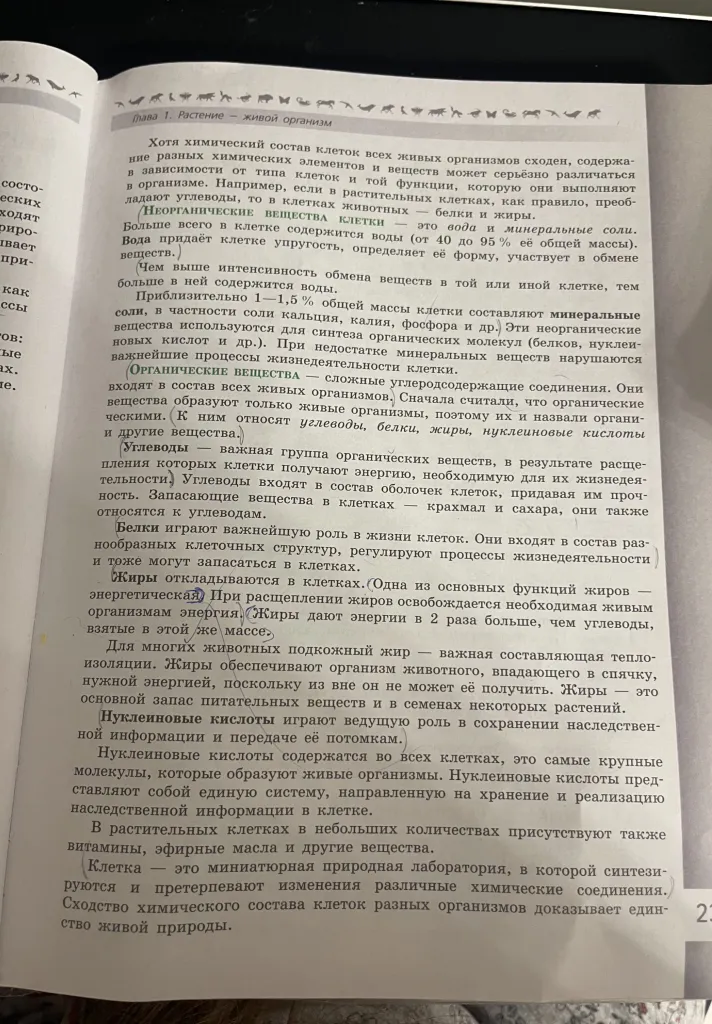 § 3. ХИМИЧЕСКИЙ СОСТАВ КЛЕТКИ