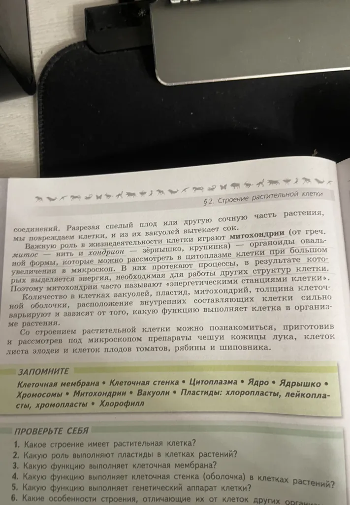 §2. Строение растительной клетки