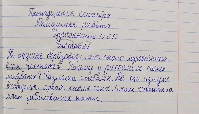 найди ошибки