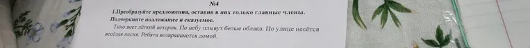 1.Преобразуйте предложения, оставив в них только главные члены. Подчеркните подлежащее и сказуемое.