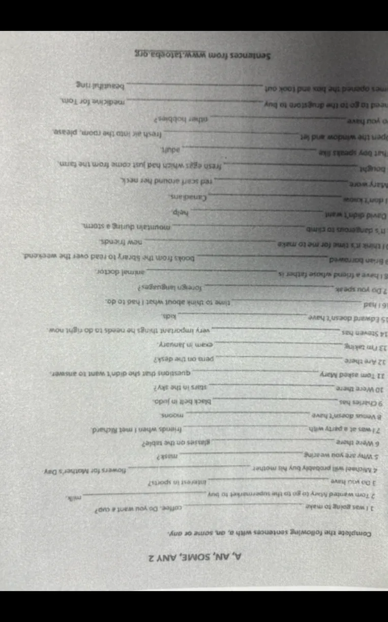 Complete the following sentences with a, an, some or any.