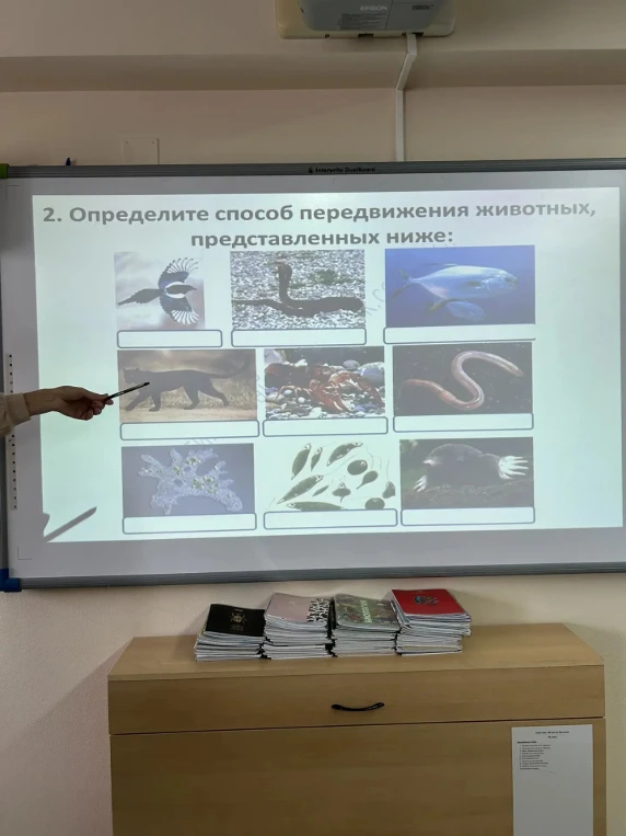 2. Определите способ передвижения животных, представленных ниже: