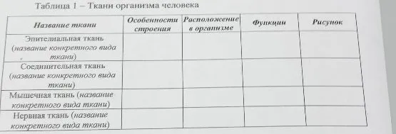 Таблица 1 – Ткани организма человека