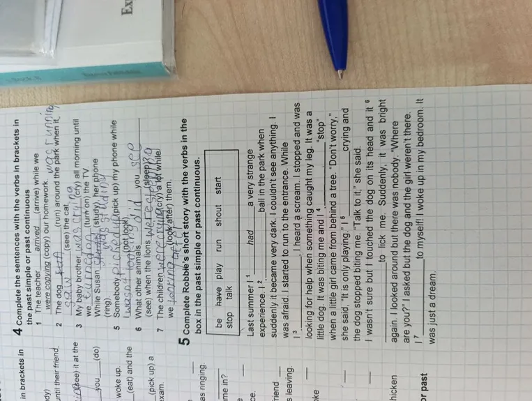 Complete Robbie's short story with the verbs in the box in the past simple or past continuous.