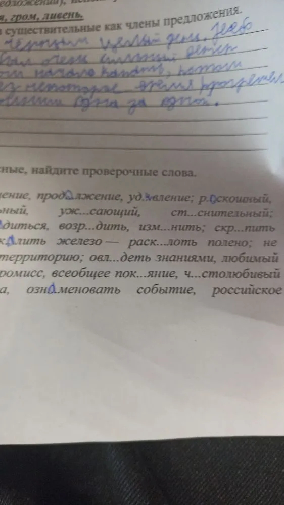 Вставьте пропущенные буквы, найдите проверочные слова.