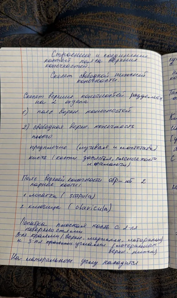 Строение и соединение костей пояса верхних конечностей. Скелет свободной нижней конечности.