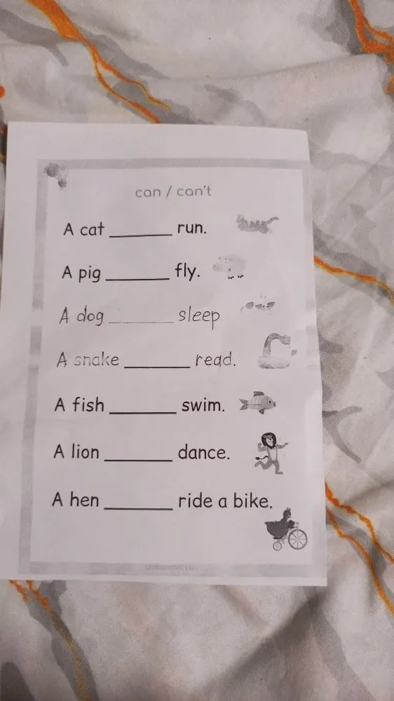 A cat ____ run.