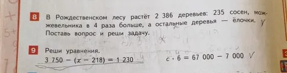 В Рождественском лесу растёт 2 386 деревьев: 235 сосен, можжевельника в 4 раза больше, а остальные деревья — ёлочки.