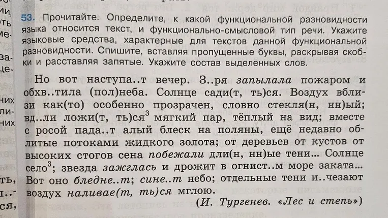 53. Прочитайте. Определите, к какой функциональной разновидности языка относится текст, и функционально-смысловой тип речи.