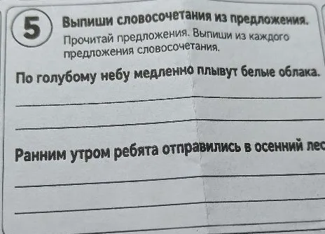 Выпиши словосочетания из предложения. Прочитай предложения. Выпиши из каждого предложения словосочетания.