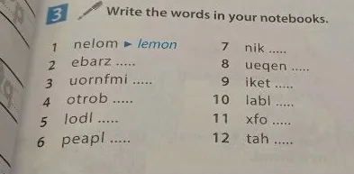 Write the words in your notebooks.