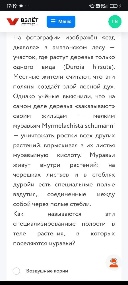 На фотографии изображён «сад дьявола» в амазонском лесу — участок, где растут деревья только одного вида (Duroia hirsuta).
