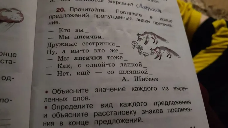 Прочитайте. Поставьте в конце предложений пропущенные знаки препинания.