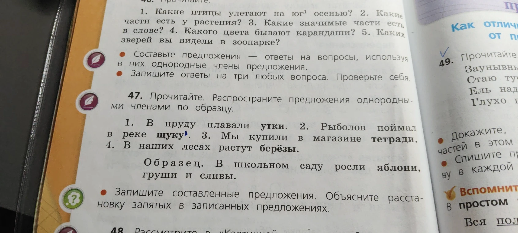 1. Какие птицы улетают на юг осенью? 2. Какие части есть у растения? 3. Какие значимые части есть в слове? 4. Какого цвета бывают карандаши? 5. Каких зверей вы видели в зоопарке?