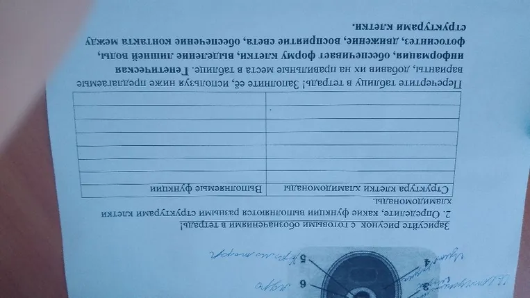 Перечертите таблицу в тетрадь! Заполните её, используя ниже предлагаемые варианты, добавив их на правильные места в таблице.