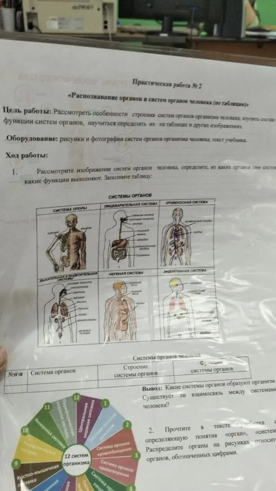 Практическая работа № 2 «Распознавание органов и систем органов человека (по таблицам)»