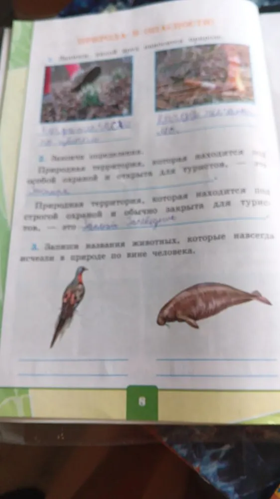 Запиши названия животных, которые навсегда исчезли в природе по вине человека.