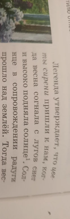 Легенда утверждает, что цветы сирени пришли к нам, когда весна согнала с лугов снег и высоко подняла солнце.