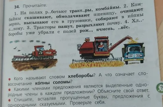34. Прочитайте. 1. На полях р..ботают тракт..ры, комбайны. 2. Комбайны скашивают, обмолачивают пшеницу, очищают зерно, высыпают его в грузовики, собирают в копны с..лому. 3. Тракторы пашут, разрыхляют почву. 4. Хл..боробы уже убрали с полей рож.., ячмень, ..вёс.