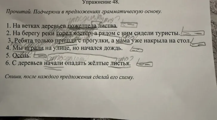 Прочитай. Подчеркни в предложениях грамматическую основу.