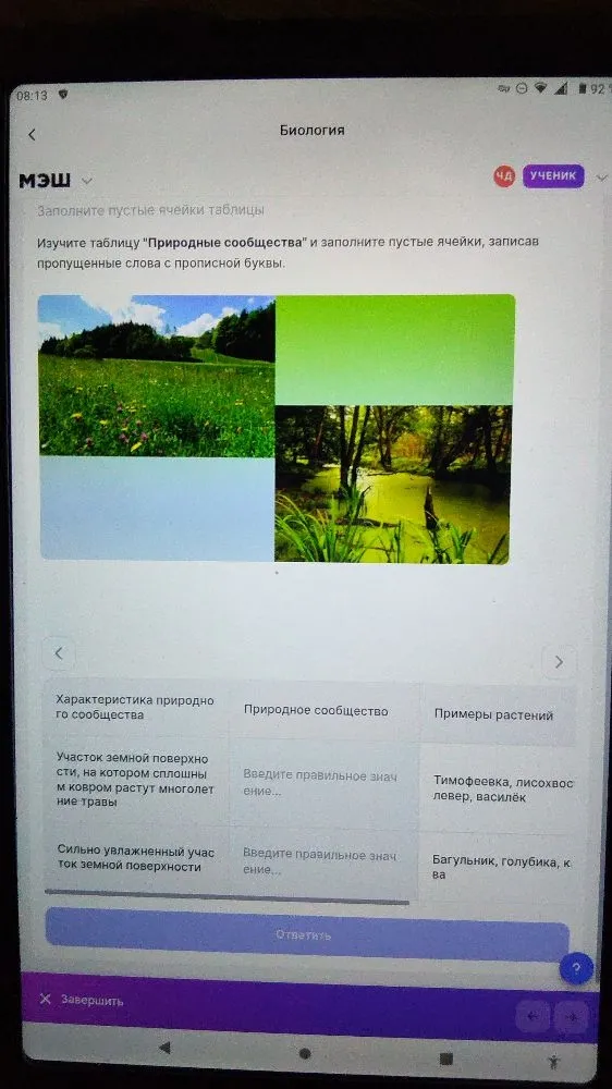 Изучите таблицу "Природные сообщества" и заполните пустые ячейки, записав пропущенные слова с прописной буквы.
