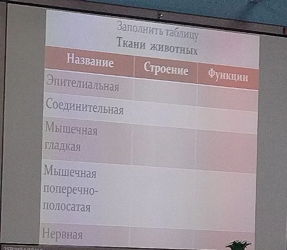 Заполнить таблицу Ткани животных